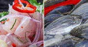 Lista de pescados para hacer ceviche: ¿qué especies puedo utilizar en este platillo peruano?