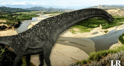Así era el titanosaurio de Bagua, el único dinosaurio hallado en Perú