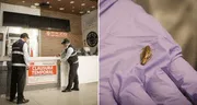 San Isidro: municipalidad clausura local de conocida pizzería por presencia de insectos