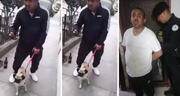 Madre de sujeto que agredió a perrita en La Victoria fue quien denunció el hecho, informó PNP
