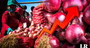 ¡Precio de la cebolla roja alcanza un máximo histórico!: ¿cuánto está y por qué aumentó su valor?