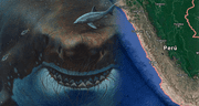 Así era el megalodón, el tiburón gigante que vivió en las costas del Perú por 10 millones de años