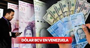 Dólar BCV HOY, miércoles 18 de octubre 2023: precio del dólar en Venezuela
