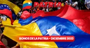 Bonos de la Patria HOY: estos son los subsidios que llegarán para diciembre 2023