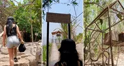 Peruana muestra cómo llegar a la selva escondida de San Juan de Lurigancho y en redes dicen: "Perú y sus maravillas"