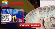 Nuevos Bonos de la Patria: COBRA HOY estos bonos en diciembre 2023