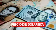 Dólar BCV 19 de enero de 2024: tasa oficial según Banco Central de Venezuela