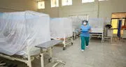 Dengue en Perú: Minsa anuncia que 32 personas fallecieron por la enfermedad en lo que va del 2024