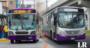 Corredor morado dejará de operar: ¿desde cuándo y qué rutas desaparecerán?