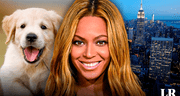 La histórica ciudad de Estados Unidos donde hay más mascotas que niños, y viven Beyoncé y Madonna