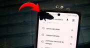 ¿Por qué salen manchas negras en la pantalla cuando un teléfono sufre una caída?