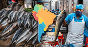 Este es el país que lidera el consumo de pescado en Latinoamérica: supera a Chile y Venezuela