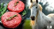 El país de Sudamérica que es primero en el MUNDO exportando carne de caballo, pero no la consume