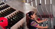 Intervienen fábrica de bebidas alcohólicas adulteradas en Puente Piedra: 30,000 litros de vino iban a comercializarse