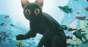 'Flow': dónde ver el filme ganador del Oscar 2025 como 'Mejor película animada'