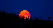 Eclipse lunar total 2025: cuándo y cómo ver desde Perú el fenómeno de la “Luna de sangre”