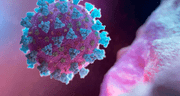 Científicos descubren en murciélagos de China un nuevo virus parecido al coronavirus que infectaría a humanos