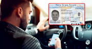 Licencia de conducir en Nueva York: la app que te permitirá mostrar el permiso de manejo y tu Real ID desde el celular