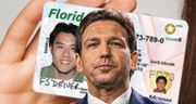 Licencia de conducir en Florida: lista de documentos que no serán válidos en el gobierno de Ron DeSantis en 2025