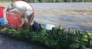 Iquitos: agricultor es herido de bala por piratas de río cuando navegaba con su familia