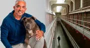 ¿Qué pasa con César Millán? El 'encantador de perros' es tendencia en EEUU tras rumores de un supuesto arresto