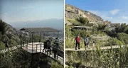 Mujer peruana reveló cómo creó una selva escondida entre los cerros de San Juan de Lurigancho con más de 100 variedades de plantas: "Fue como un juego"