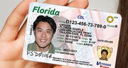 Licencia de conducir en Florida: estas son las multas y por manejar sin brevete este 2025