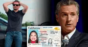 La ley vigente respaldada por Gavin Newsom que todo conductor en California debe conocer para evitar sanciones del DMV