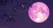 Luna Rosa 2025: dónde y a qué hora ver la luna llena este sábado 12 de abril en México