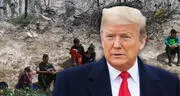 Millonario de Texas advierte peligro económico si Trump sigue deportando inmigrantes: "No tenemos suficientes personas para el trabajo"