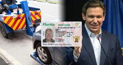 Vigente enmienda firmada por Ron DeSantis en Florida suspende licencia a conductores e incauta vehículos en 2025