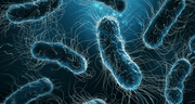 La inteligencia artificial logra en dos días lo que a la ciencia le llevó 10 años: revela el misterio de las superbacterias