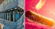EE. UU. retira más de 4 mil cajas de agua embotellada por contaminación bacteriana en una famosa marca