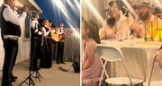 Mujer celebra el quinceañero de su gata con fiesta y mariachis: "El que tiene plata hace lo que quiere"