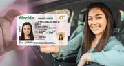 Florida: nueva regla del FLHSMV impone cambios en las licencias de conducir para inmigrantes sin Green Card