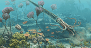 Paleontólogos peruanos descubren que un animal marino vivió en lo que ahora es Cusco hace 470 millones de años