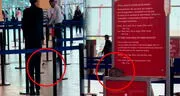 Pasajeros captan una rata en sala de abordaje de aeropuerto en Perú y en redes bromean: “Corre para no perder su vuelo”
