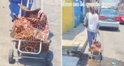 Adulta mayor sorprende al colocar a su nieta en carrito de mercado: “Abuelita que resuelve”