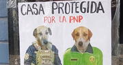Tienda coloca divertido cartel con la fotografía de sus perritos y son furor en redes: “Protegida por la PNP”