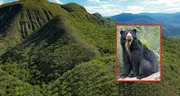 Crean nueva área de conservación en Cajamarca: es hábitat de especies amenazadas, como osos de anteojos, pumas y tigrillos