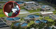 Florida prohíbe la fluoración del agua potable pública y genera polémica sobre sus efectos en la salud infantil