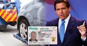 Enmienda de Ron DeSantis a vigente ley en Florida ordena suspender las licencias e incautar vehículos a conductores