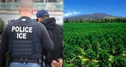 Nuevo objetivo en redadas de inmigración en EEUU: ICE está arrestando a trabajadores del sector agrícola de este estado