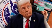 USCIS y Trump revocan la Green Card: inmigrantes perderán la residencia permanente por estos delitos