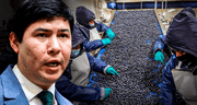 Congreso aprueba ‘Ley Chlimper 2.0′ que otorga regalos tributarios para grandes agroexportadoras