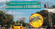 La controversial medida que tomó el régimen de Venezuela para controlar la fiebre amarilla en la frontera con Colombia