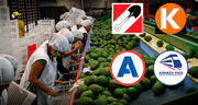 Ley Chlimper 2.0 en manos del Congreso: así votaron las bancadas para favorecer a grandes agroexportadoras