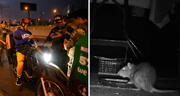 Rata fuga en pleno operativo de la policía a motocicletas en Trujillo y en redes bromean: “No tenía chaleco”