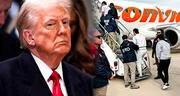 No solo inmigrantes de América Latina: Donald Trump y el ICE planean deportar a este nuevo grupo residente en EEUU, según estudio
