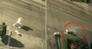 Joven aeromoza y su mascota sufren brutal ataque de rottweiler en Chorrillos: terminó con 32 puntos de sutura